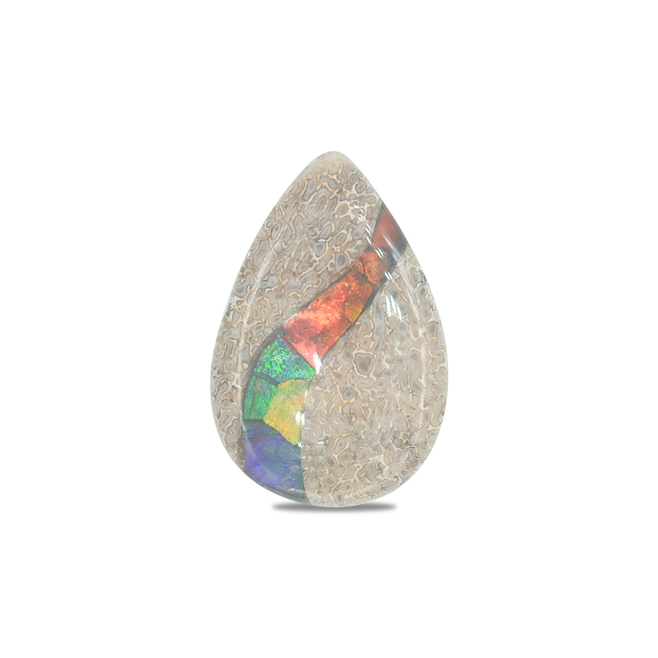 Hueso de dinosaurio fósil con pera cabujón con incrustaciones de ammolita - 1 pieza