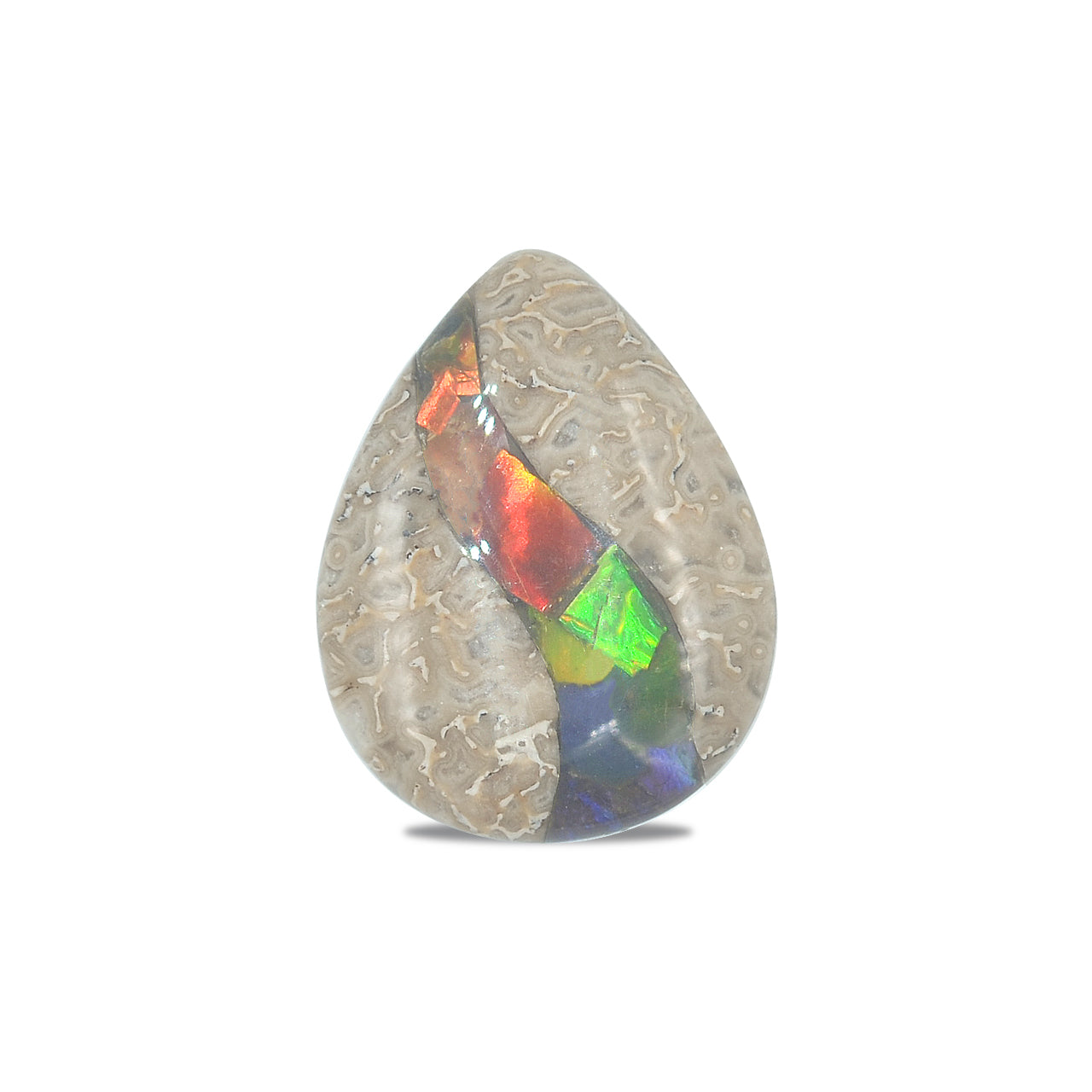 Hueso de dinosaurio fósil con pera cabujón con incrustaciones de ammolita - 1 pieza