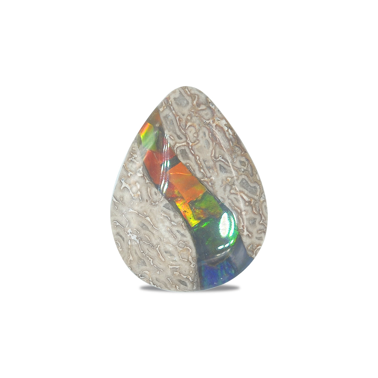 Hueso de dinosaurio fósil con pera cabujón con incrustaciones de ammolita - 1 pieza