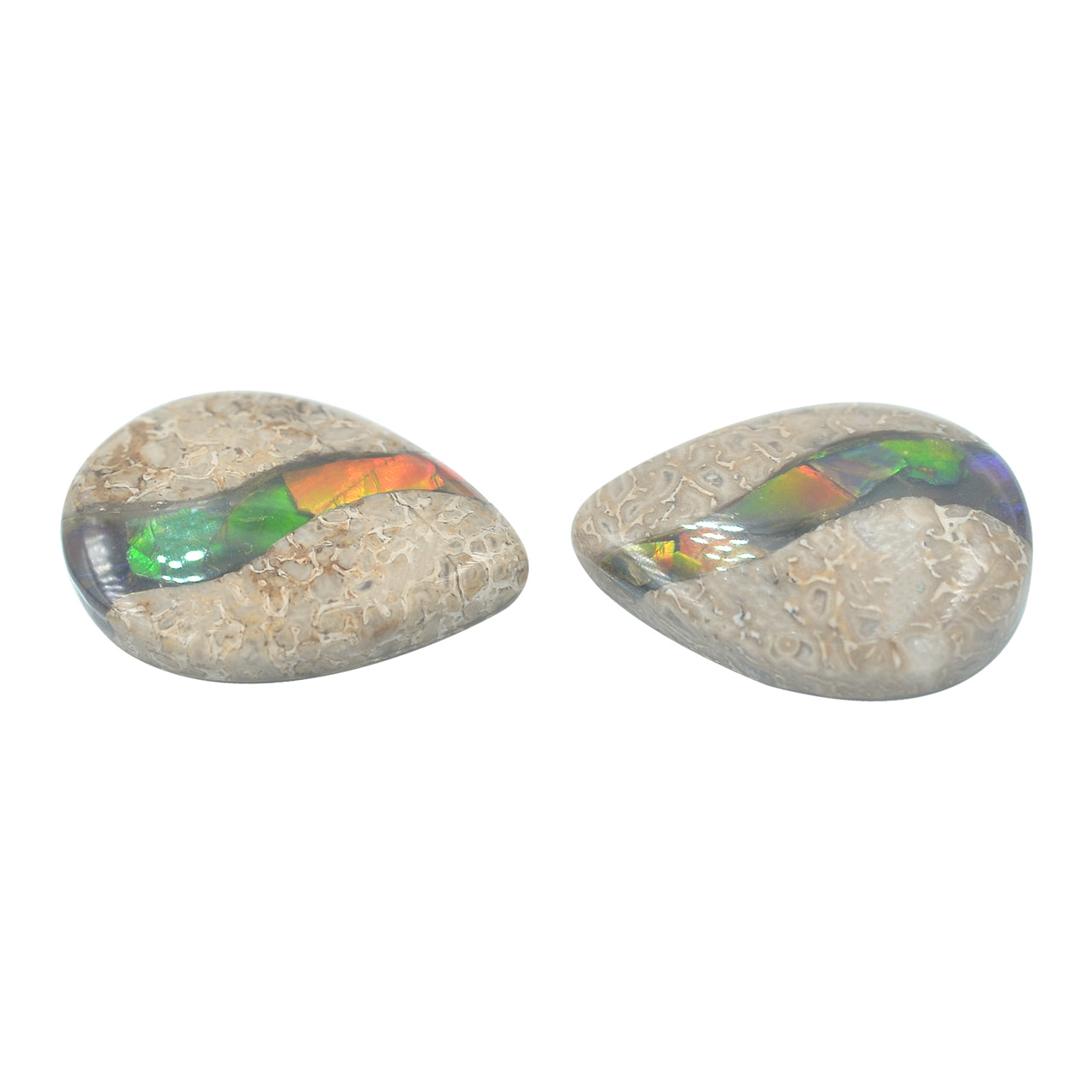 Hueso de dinosaurio fósil con pera cabujón con incrustaciones de ammolita - 1 pieza