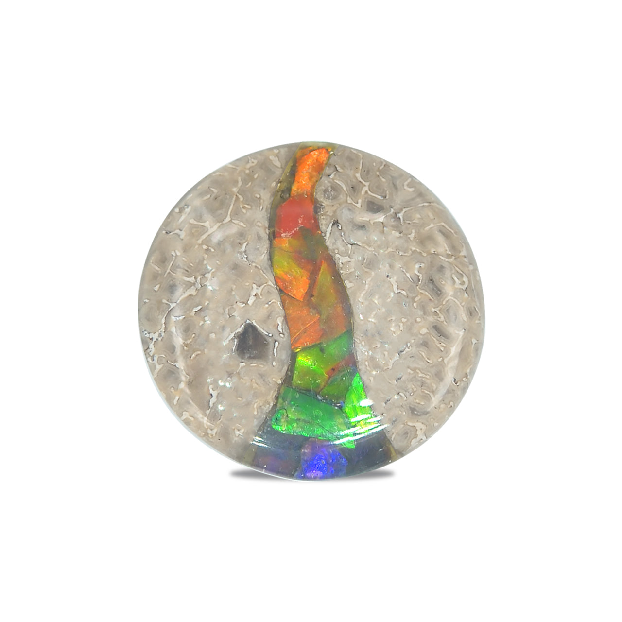 Starborn Fossil Dinosaurierknochen mit Ammolit Inlay rund Cabochon - 1 Stück