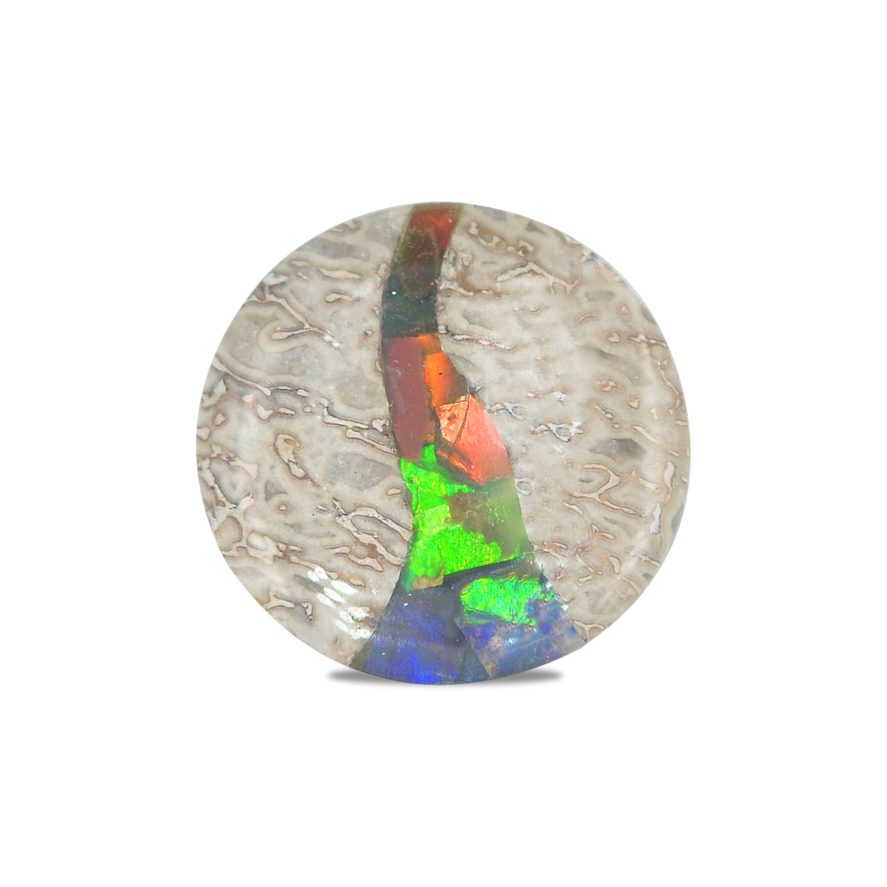 Hueso de dinosaurio fósil Starborn con cabujón redondo con incrustaciones de ammolita - 1 pieza