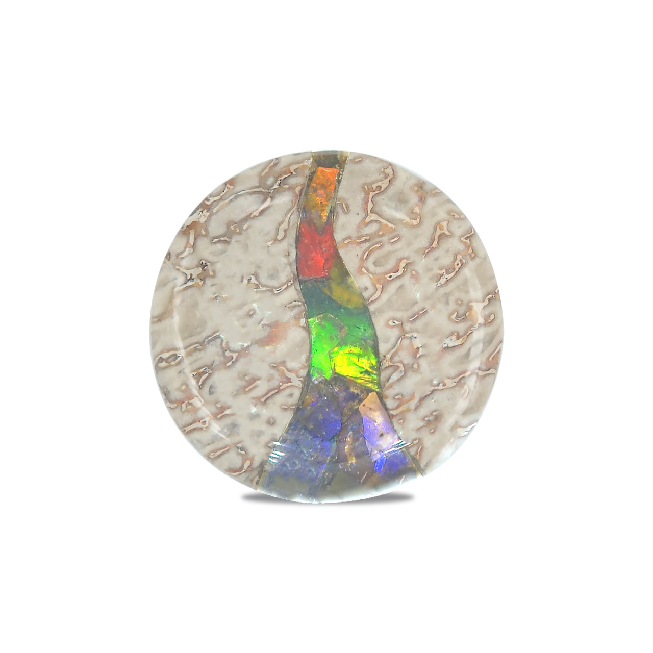 Hueso de dinosaurio fósil Starborn con cabujón redondo con incrustaciones de ammolita - 1 pieza