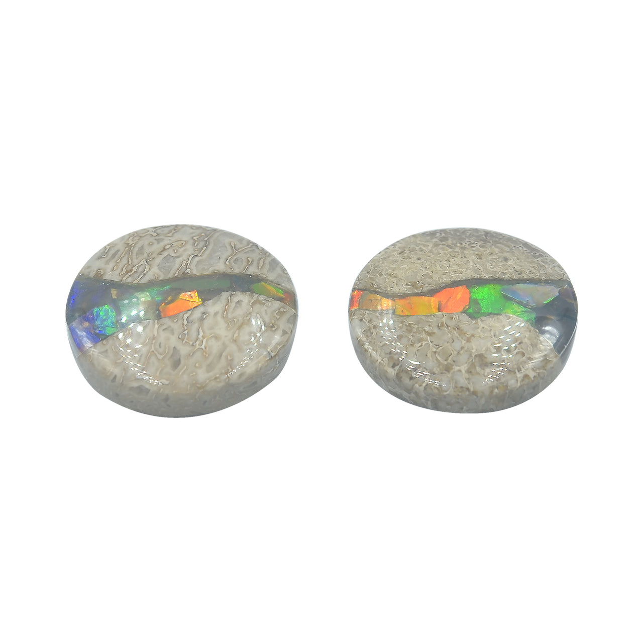 Hueso de dinosaurio fósil Starborn con cabujón redondo con incrustaciones de ammolita - 1 pieza