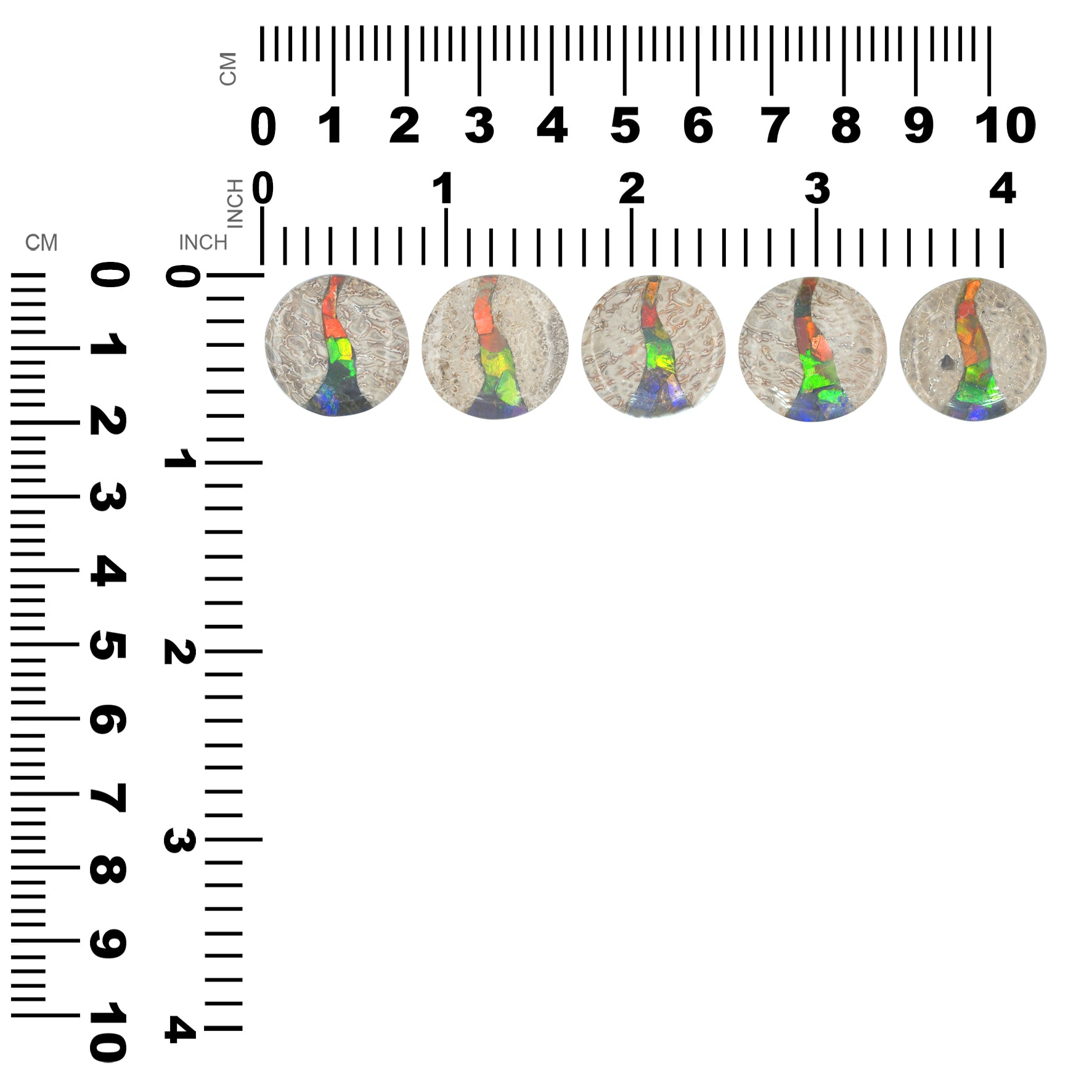 Hueso de dinosaurio fósil Starborn con cabujón redondo con incrustaciones de ammolita - 1 pieza