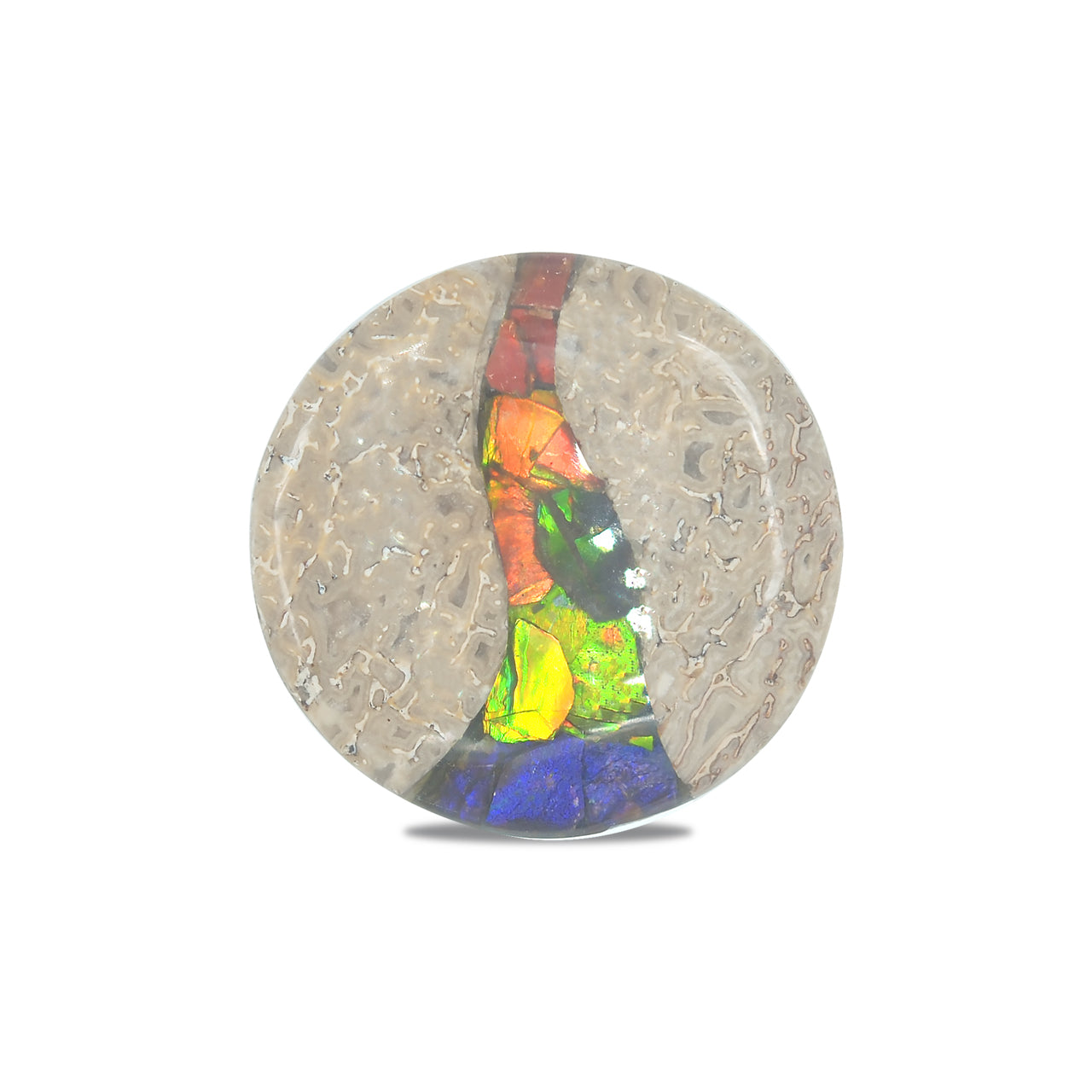 Hueso de dinosaurio fósil Starborn con cabujón redondo con incrustaciones de ammolita - 1 pieza