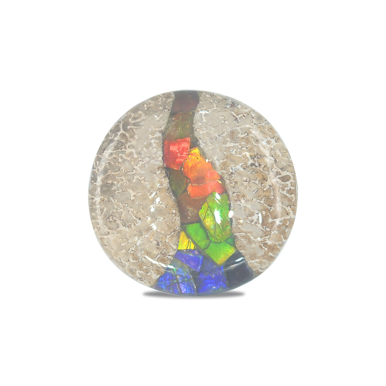 Hueso de dinosaurio fósil Starborn con cabujón redondo con incrustaciones de ammolita - 1 pieza