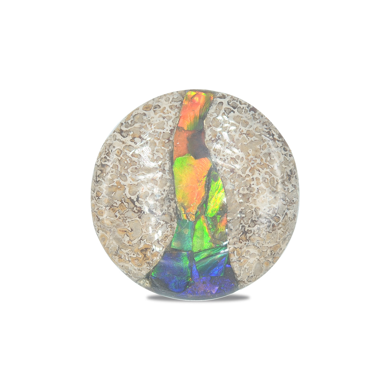 Hueso de dinosaurio fósil Starborn con cabujón redondo con incrustaciones de ammolita - 1 pieza