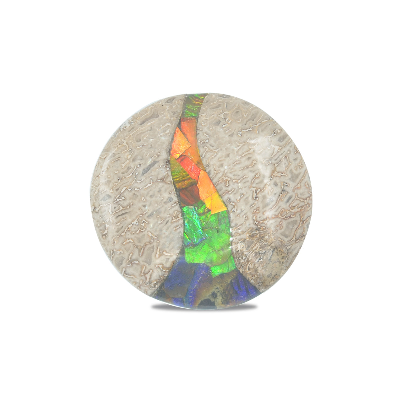 Hueso de dinosaurio fósil Starborn con cabujón redondo con incrustaciones de ammolita - 1 pieza