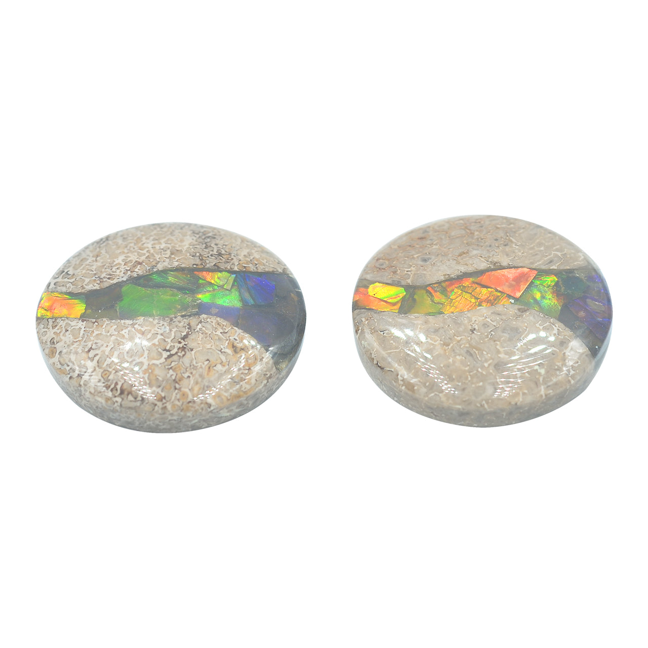 Hueso de dinosaurio fósil Starborn con cabujón redondo con incrustaciones de ammolita - 1 pieza