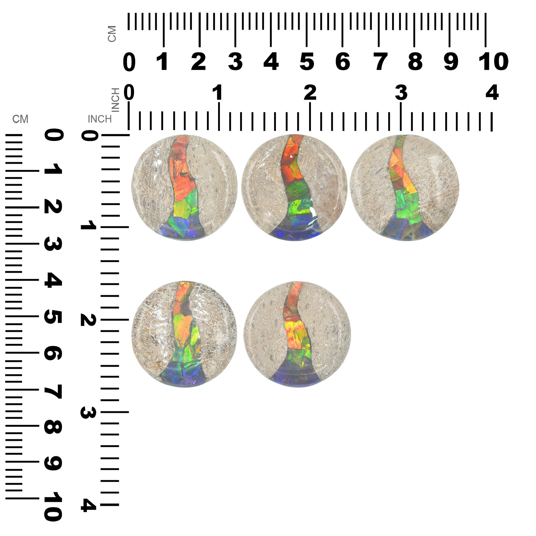 Hueso de dinosaurio fósil Starborn con cabujón redondo con incrustaciones de ammolita - 1 pieza