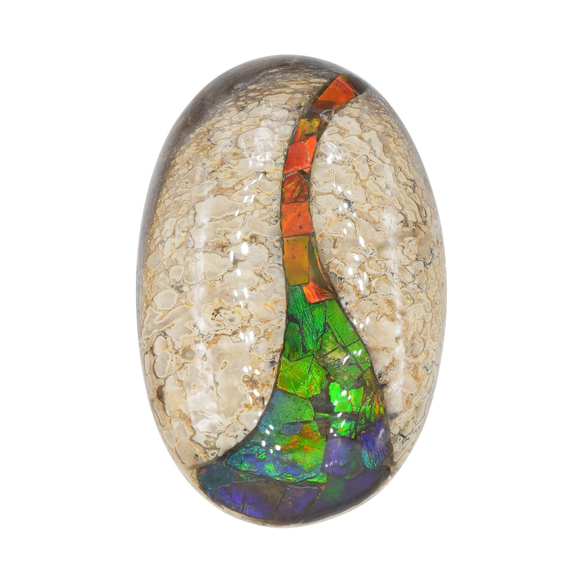 Starborn Fossilien-Dinosaurierknochen mit Ammolit-Einlagen-Handschmeichler – 1 Stück