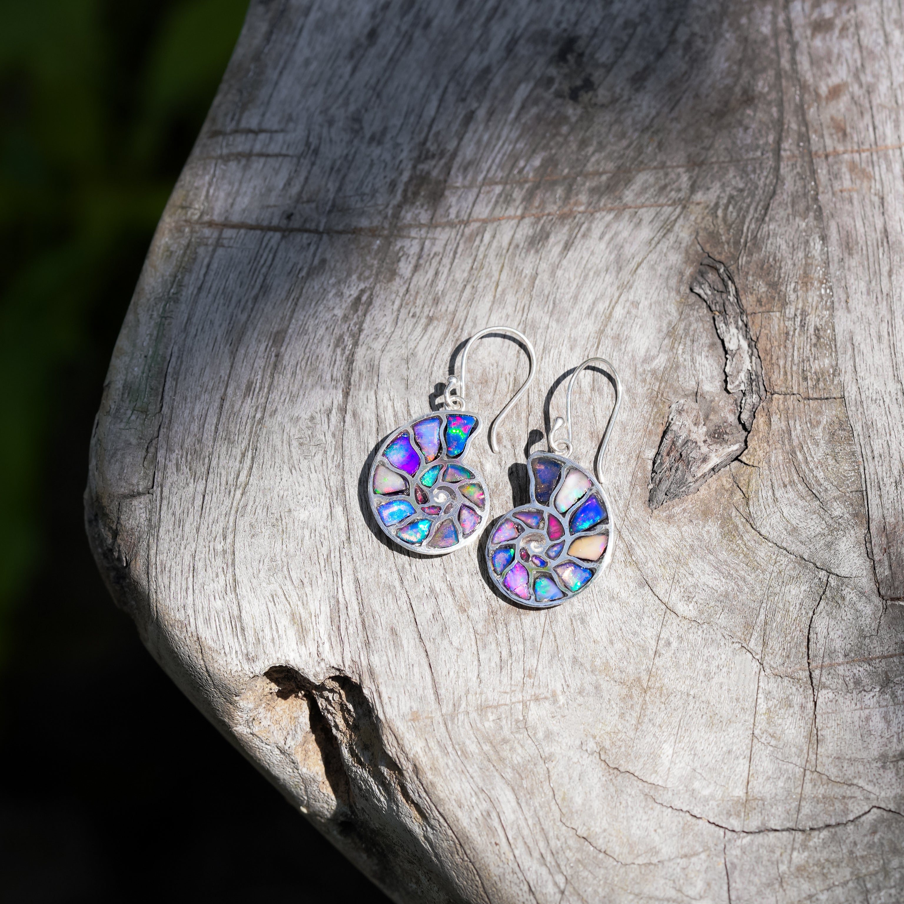 Starborn Nautilus Ammonite with Natural Ethiopian Opal Inlay Earring in Sterling Silver