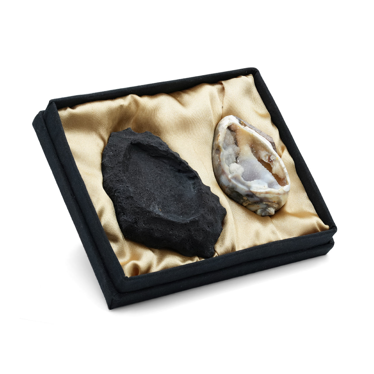 Angled view of the fossilized drusy shell on a lava rock stand displayed inside a presentation box, showing arrangement and natural form.