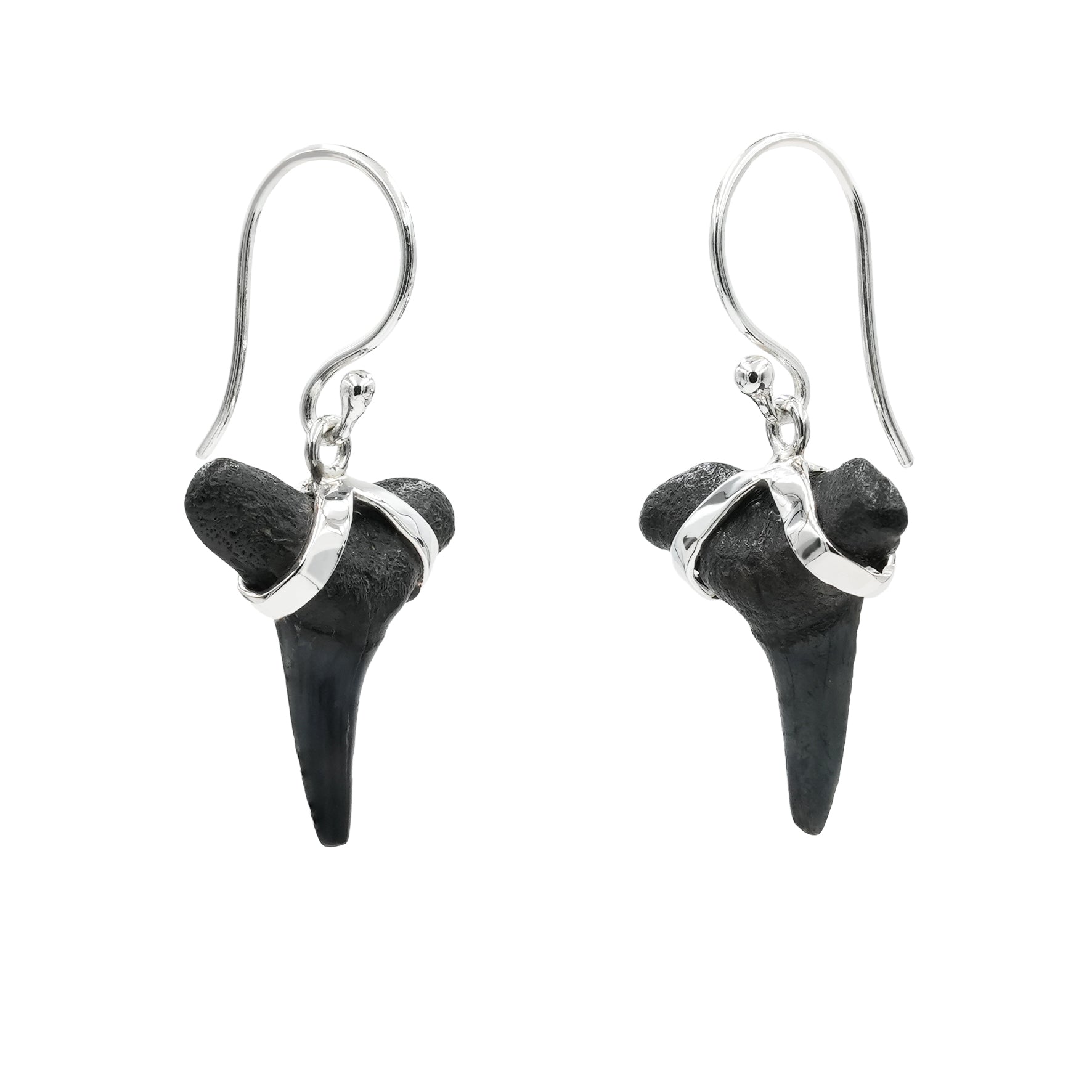 Pendientes de plata de ley con dientes de tiburón fósil