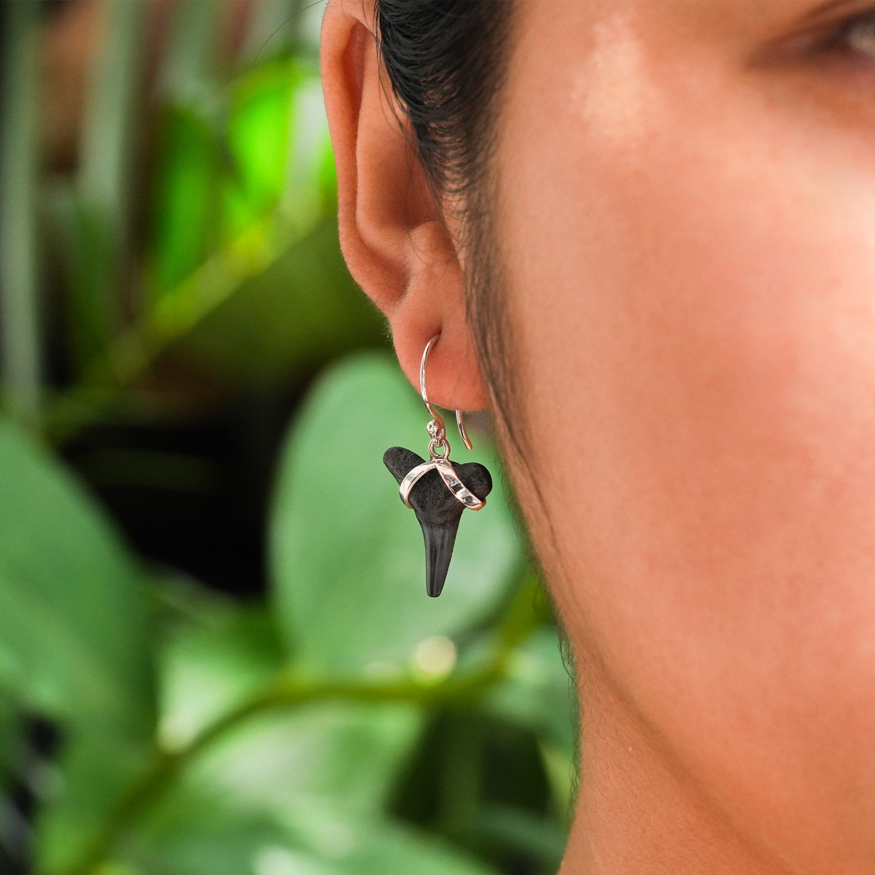 Pendientes de plata de ley con dientes de tiburón fósil