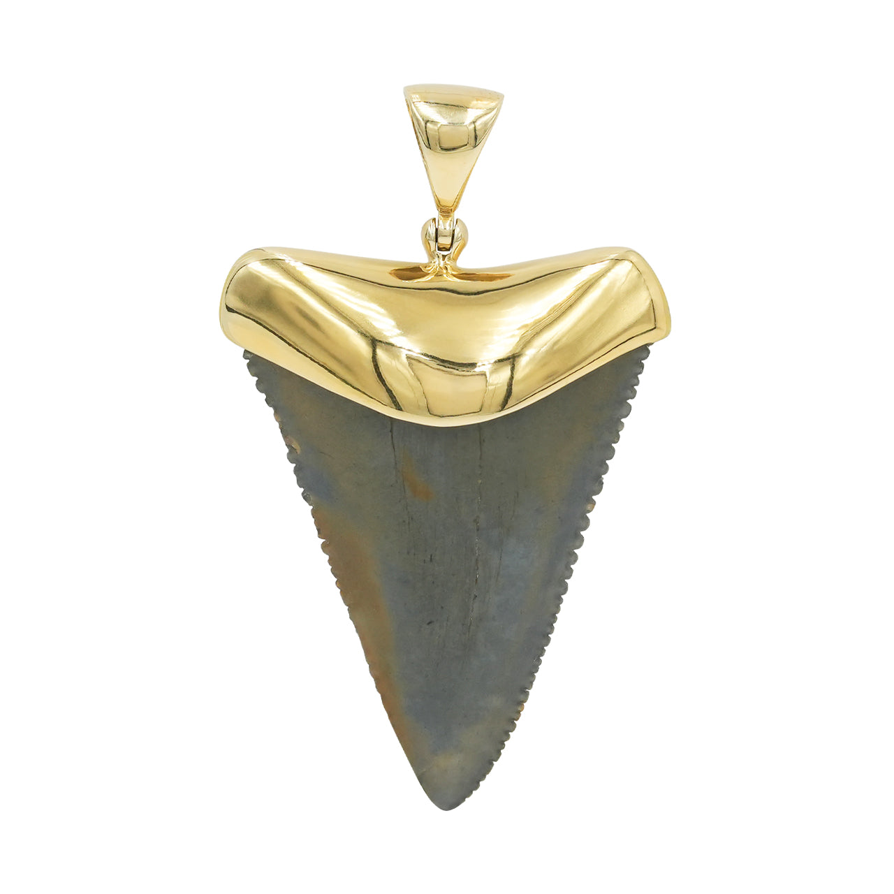 Starborn Dark Fossil Shark Tooth Cap Set Pendant in Fine Sterling Silver