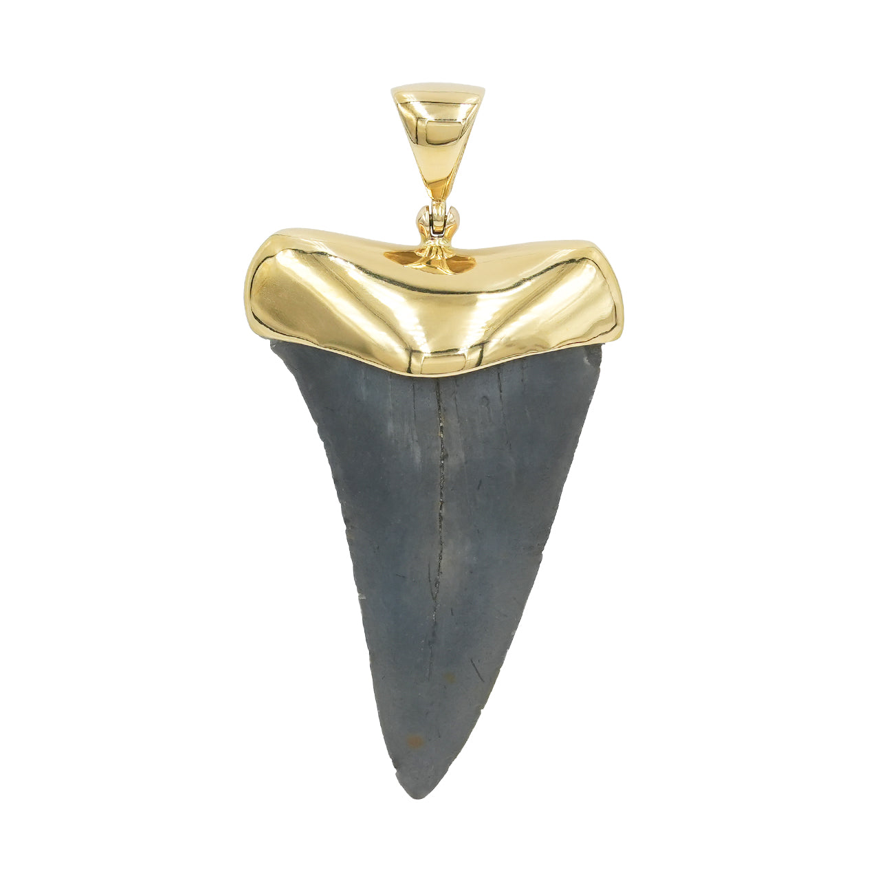 Starborn Dark Fossil Shark Tooth Cap Set Pendant in Fine Sterling Silver