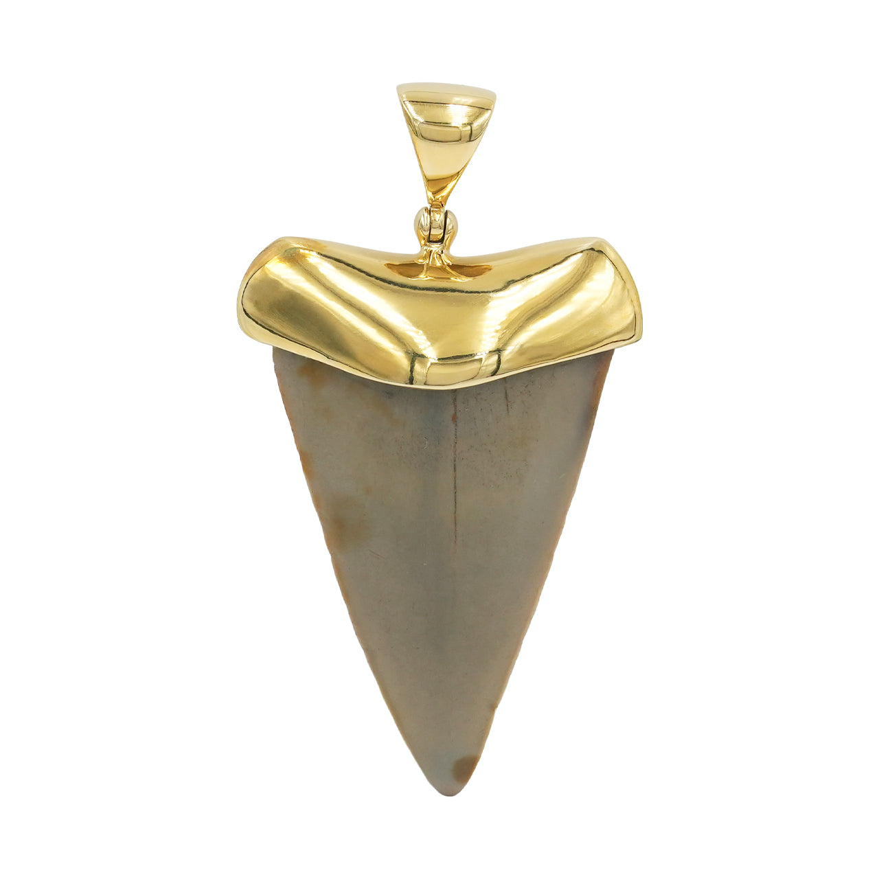 Starborn Dark Fossil Shark Tooth Cap Set Pendant in Fine Sterling Silver