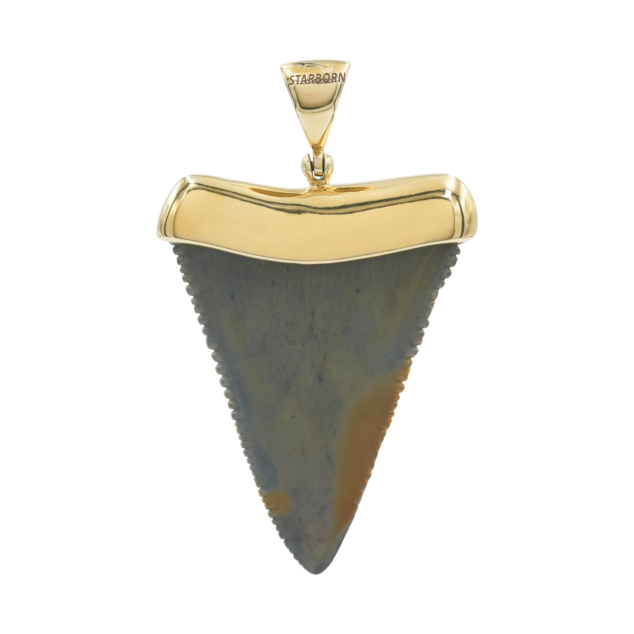 Starborn Dark Fossil Shark Tooth Cap Set Pendant in Fine Sterling Silver