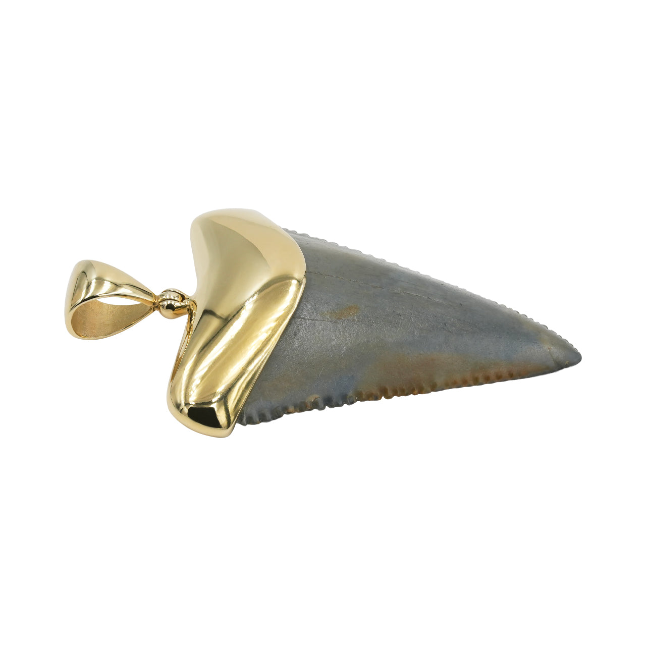 Starborn Dark Fossil Shark Tooth Cap Set Pendant in Fine Sterling Silver