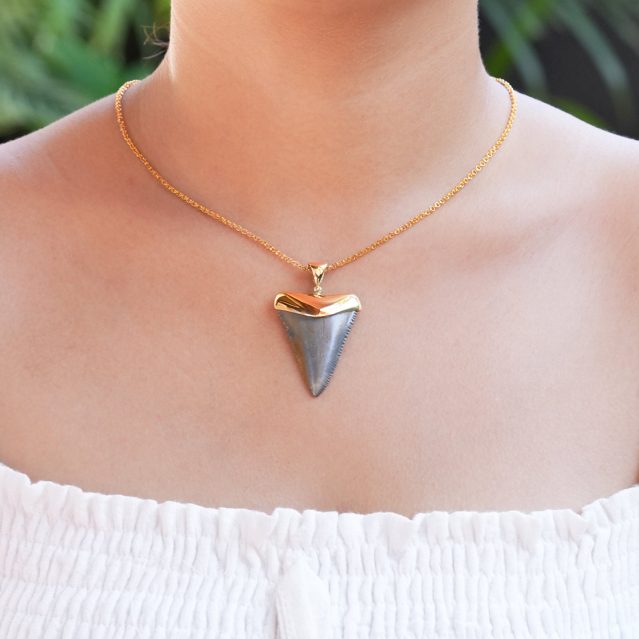 Starborn Dark Fossil Shark Tooth Cap Set Pendant in Fine Sterling Silver