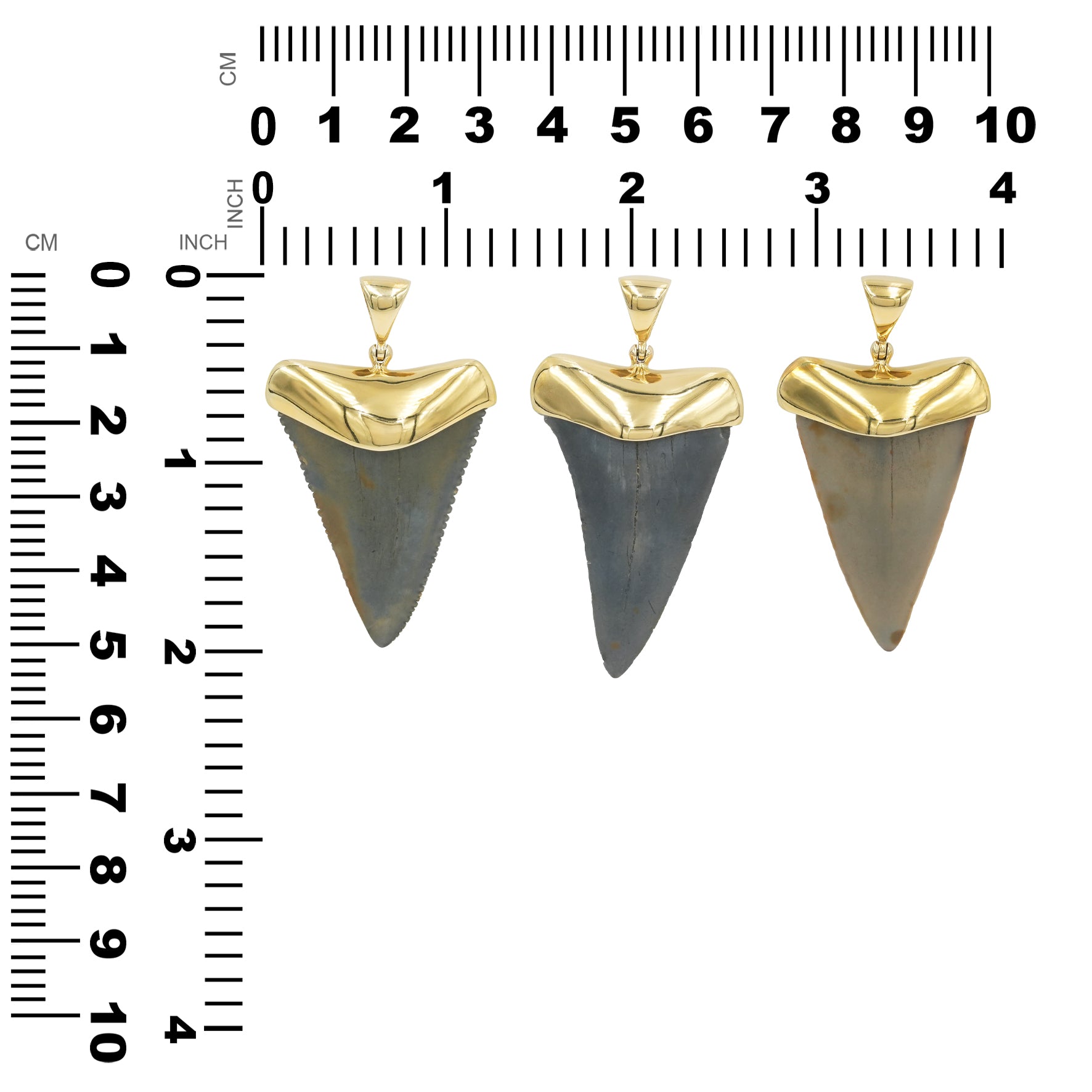 Starborn Dark Fossil Shark Tooth Cap Set Pendant in Fine Sterling Silver