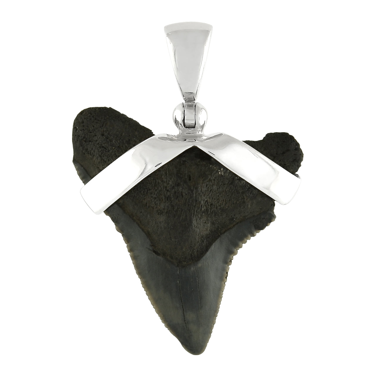 Starborn Dark Fossil Shark Tooth Sterling Silver Pendant