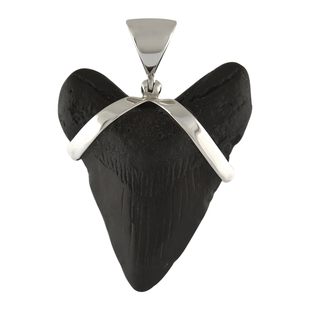 Starborn Dark Fossil Shark Tooth Sterling Silver Pendant