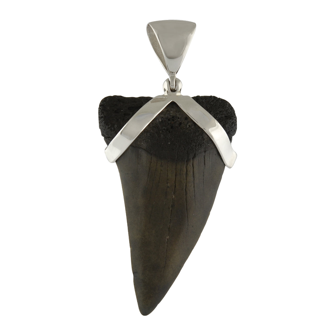 Starborn Dark Fossil Shark Tooth Sterling Silver Pendant