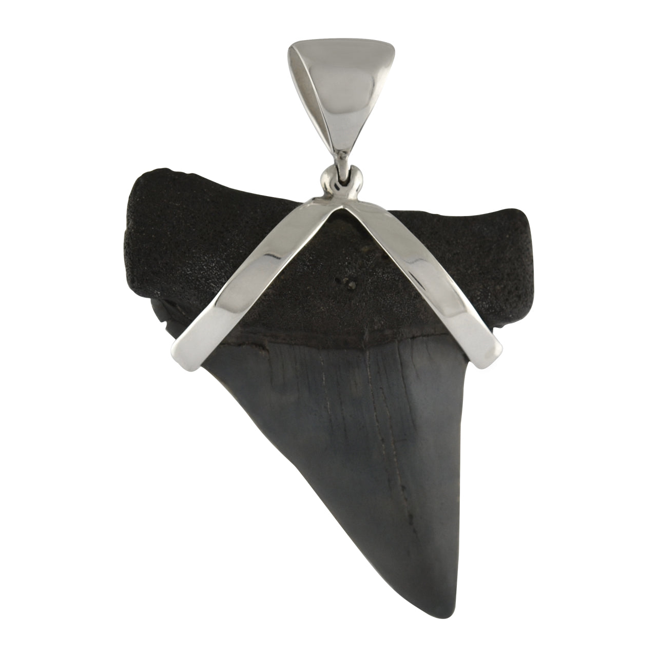 Starborn Dark Fossil Shark Tooth Sterling Silver Pendant