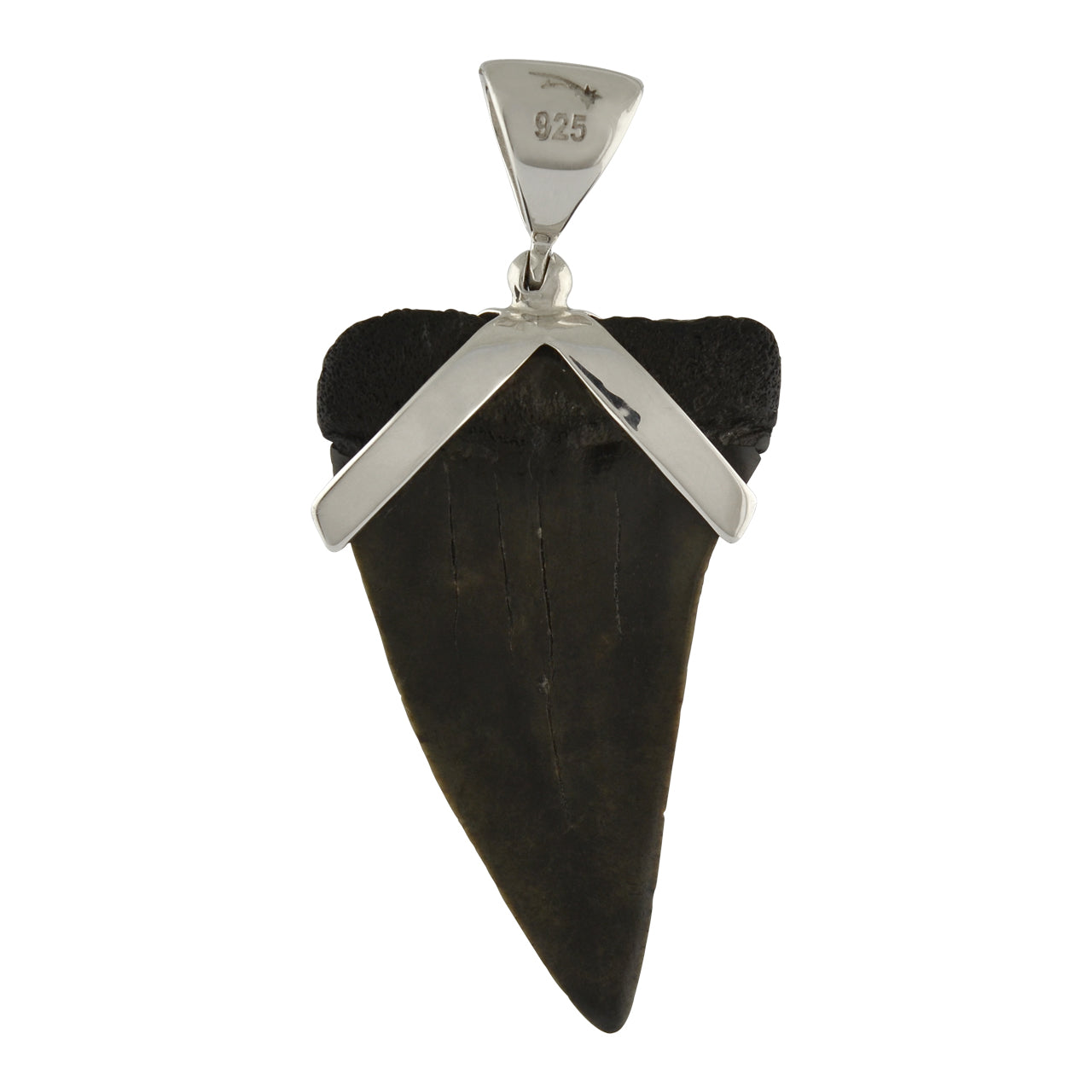 Starborn Dark Fossil Shark Tooth Sterling Silver Pendant