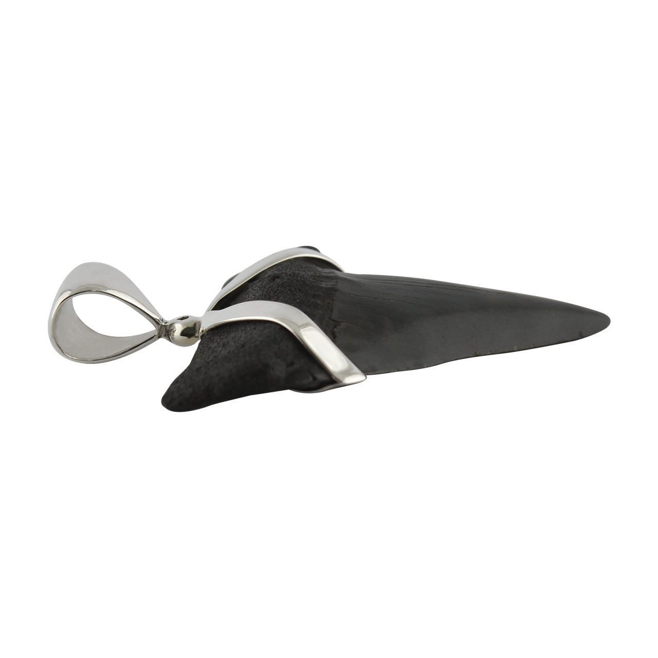 Starborn Dark Fossil Shark Tooth Sterling Silver Pendant