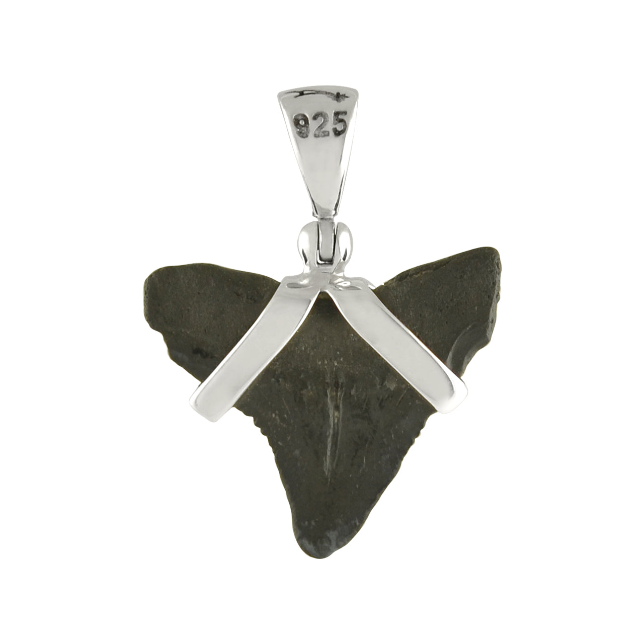 Starborn Dark Fossil Shark Tooth Sterling Silver Pendant
