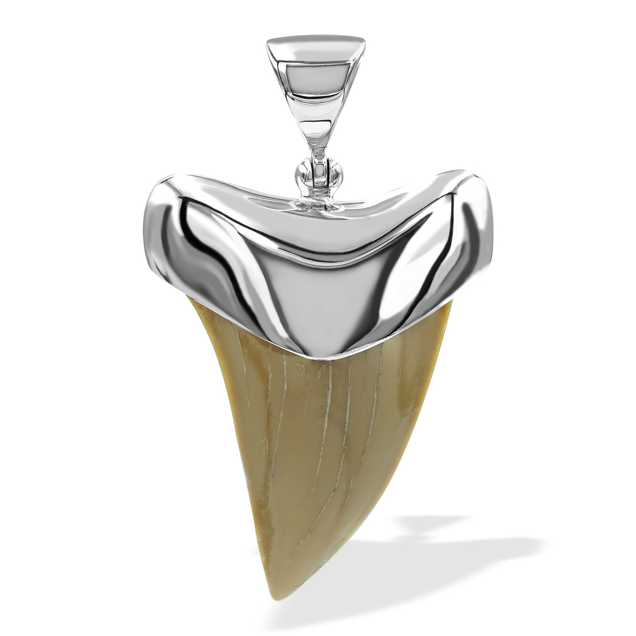 Colgante con forma de diente de tiburón fósil de Starborn en plata de ley