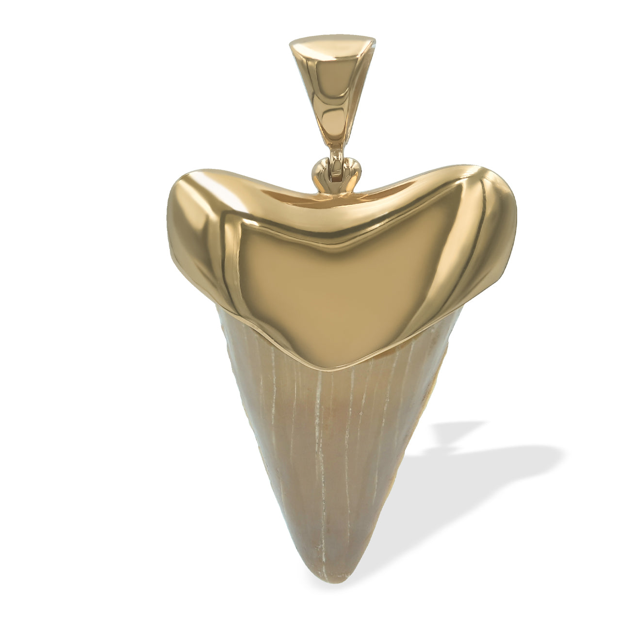 Starborn Creations Colgante de diente de tiburón fósil de latón chapado en oro de 18 quilates