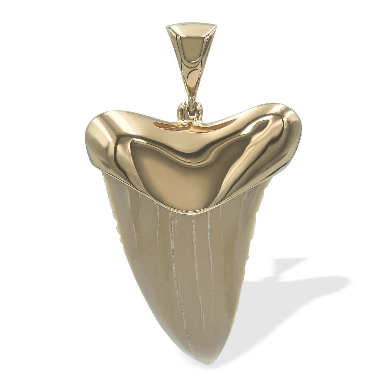 Starborn Creations Colgante de diente de tiburón fósil de latón chapado en oro de 18 quilates