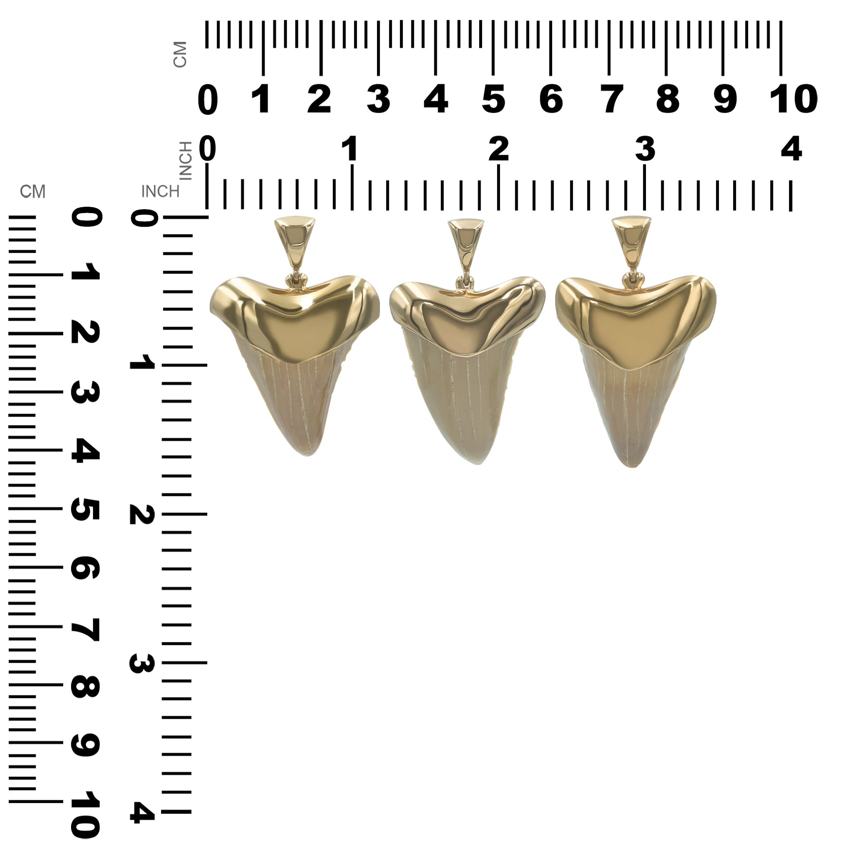 Starborn Creations Colgante de diente de tiburón fósil de latón chapado en oro de 18 quilates
