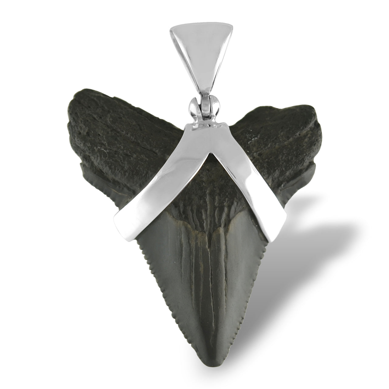 Starborn Dark Fossil Shark Tooth Sterling Silver Pendant