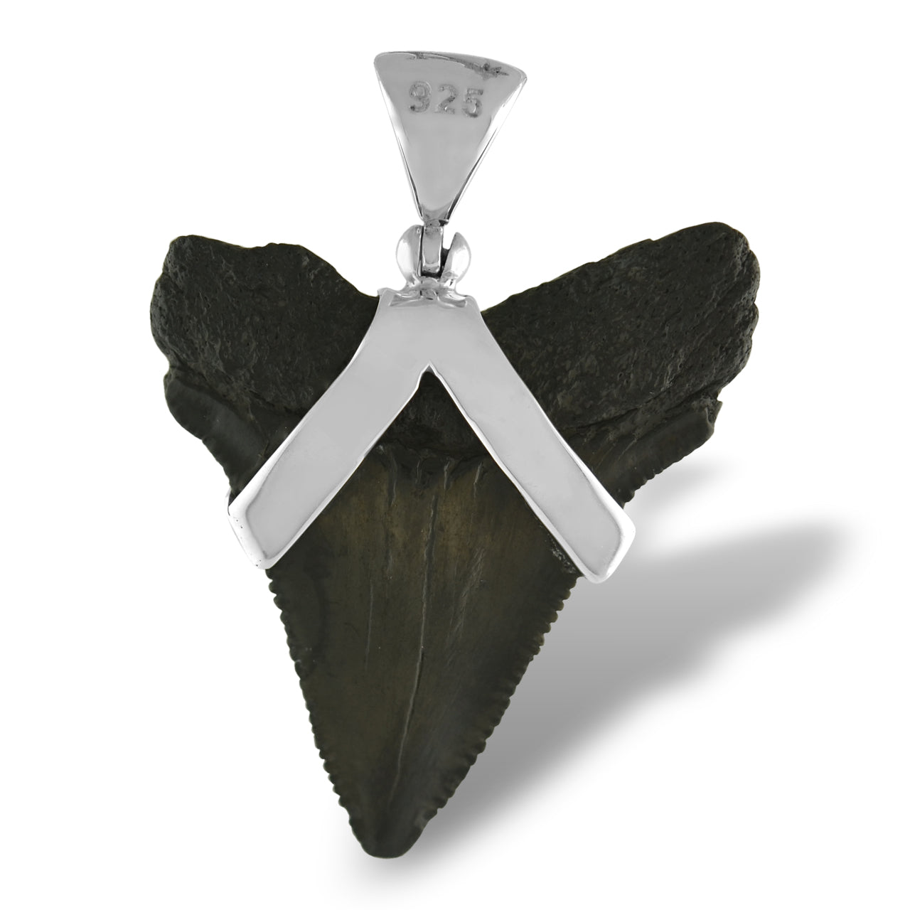 Starborn Dark Fossil Shark Tooth Sterling Silver Pendant