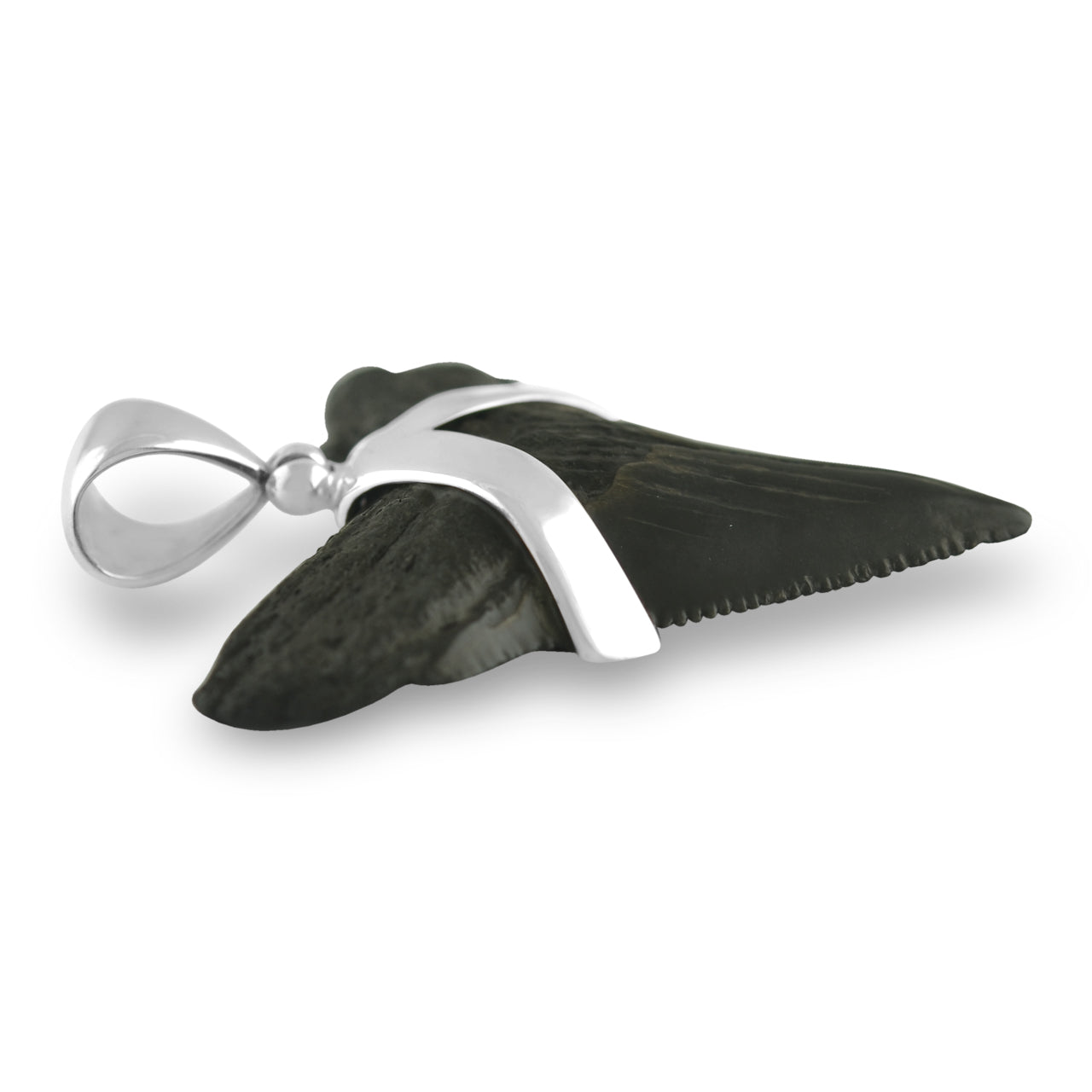 Starborn Dark Fossil Shark Tooth Sterling Silver Pendant