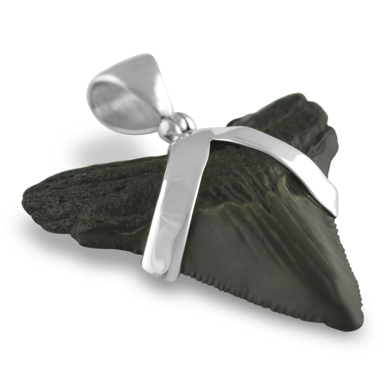 Starborn Dark Fossil Shark Tooth Sterling Silver Pendant