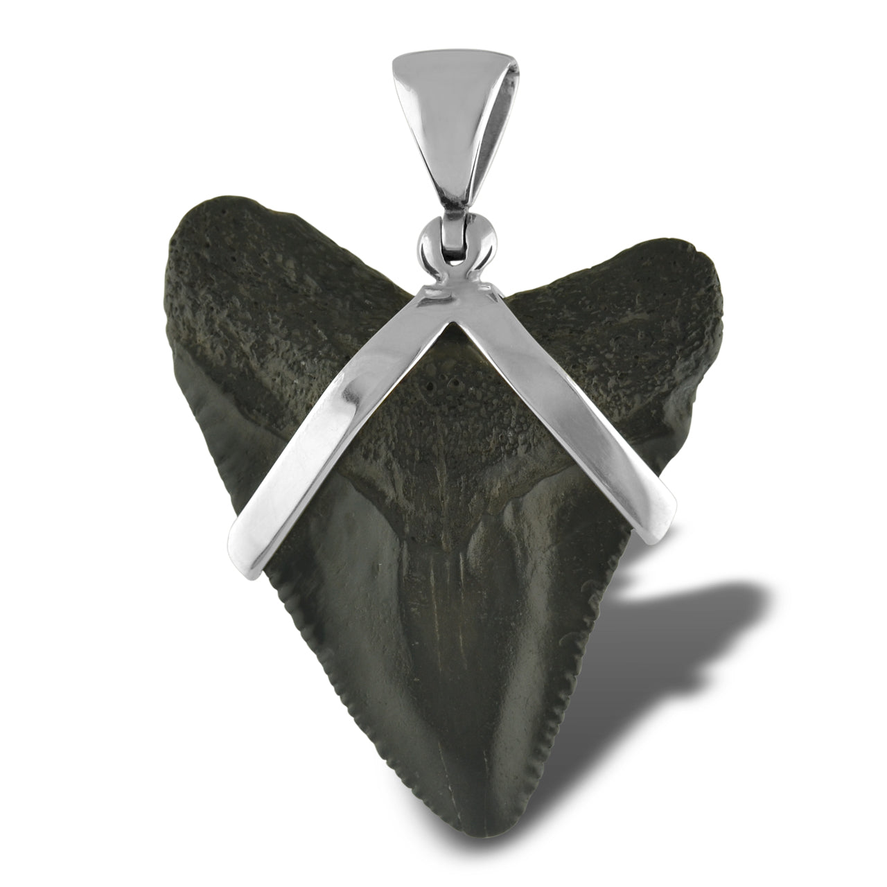 Starborn Dark Fossil Shark Tooth Sterling Silver Pendant