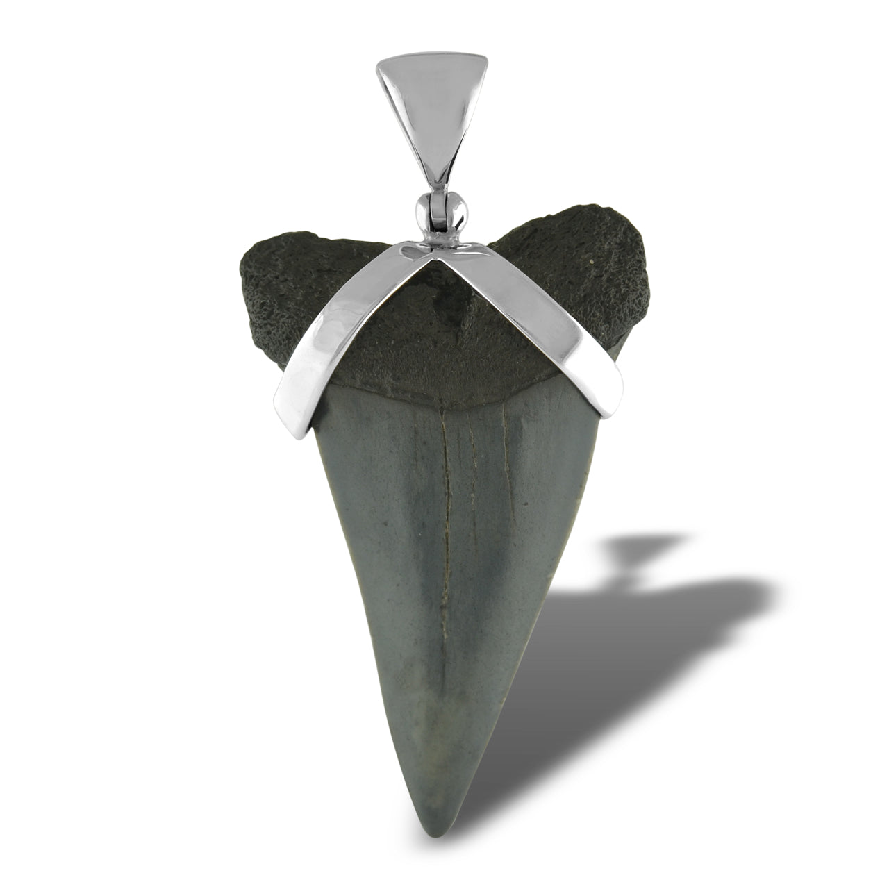 Starborn Dark Fossil Shark Tooth Sterling Silver Pendant