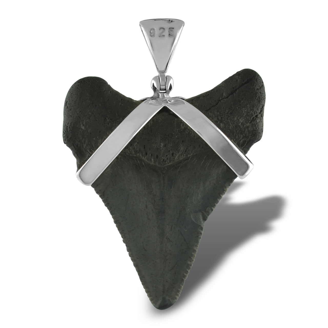 Starborn Dark Fossil Shark Tooth Sterling Silver Pendant