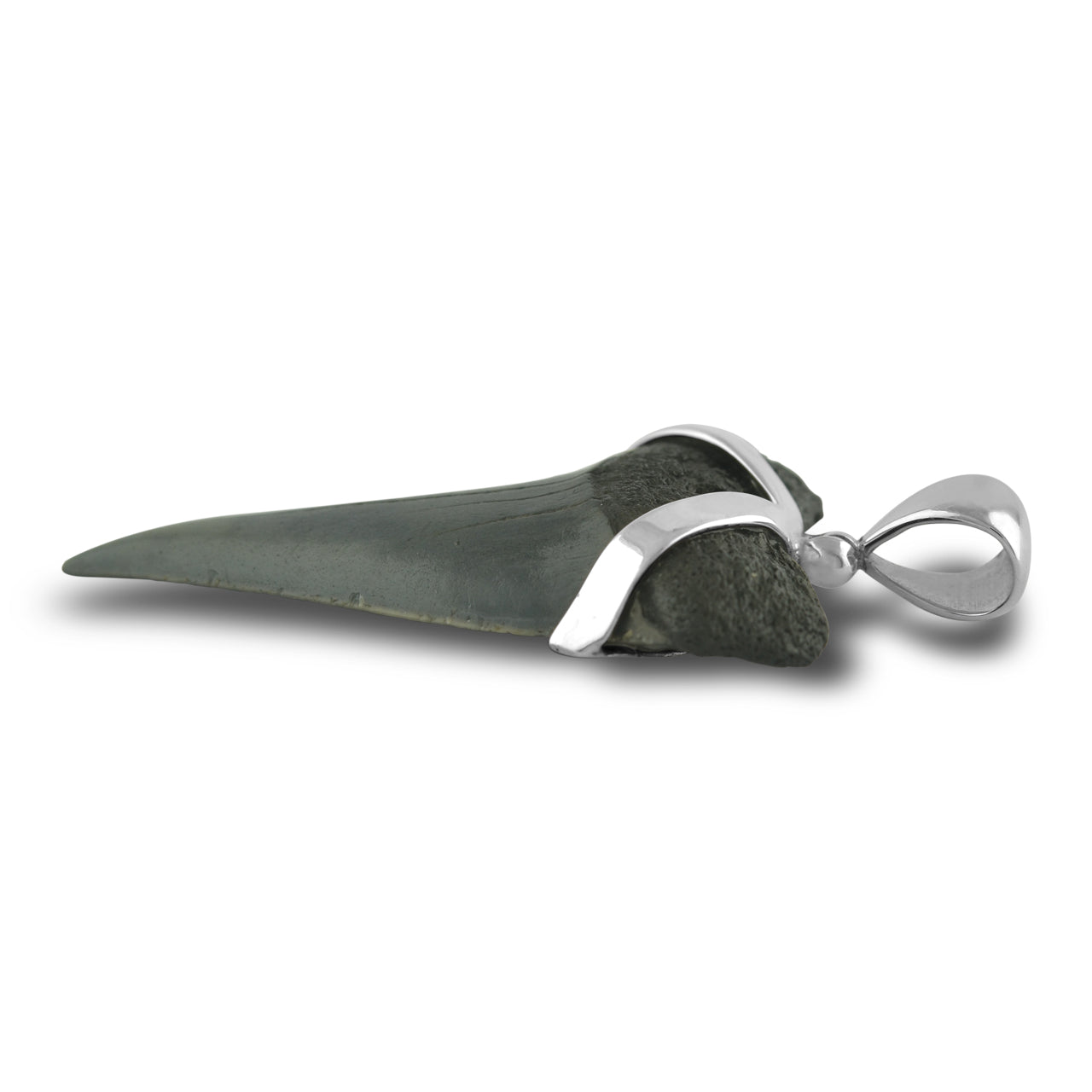 Starborn Dark Fossil Shark Tooth Sterling Silver Pendant