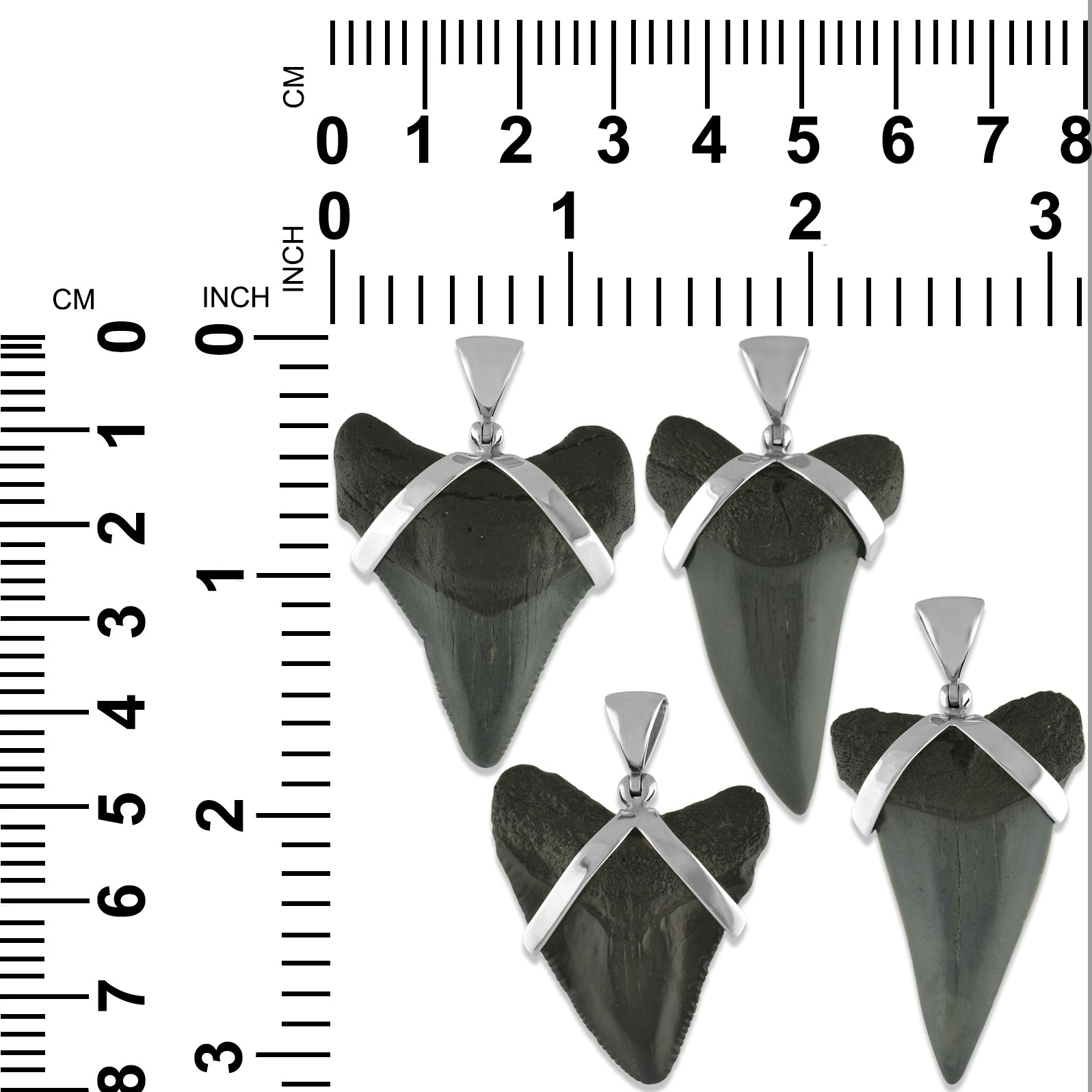 Starborn Dark Fossil Shark Tooth Sterling Silver Pendant