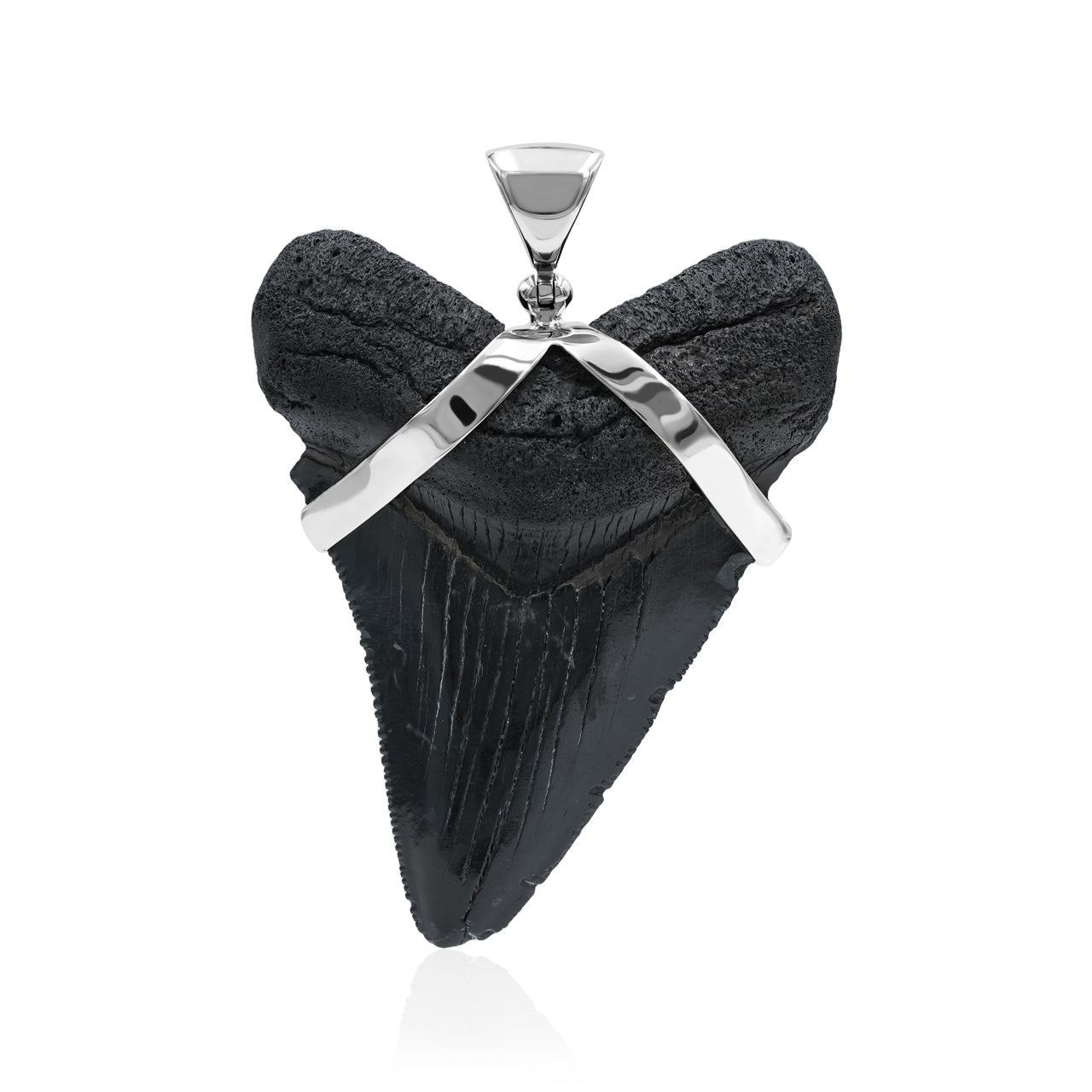 Starborn Dark Fossil Shark Tooth Sterling Silver Pendant