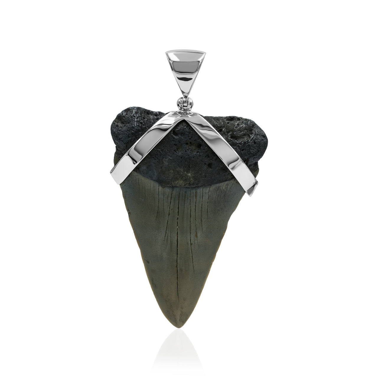 Starborn Dark Fossil Shark Tooth Sterling Silver Pendant