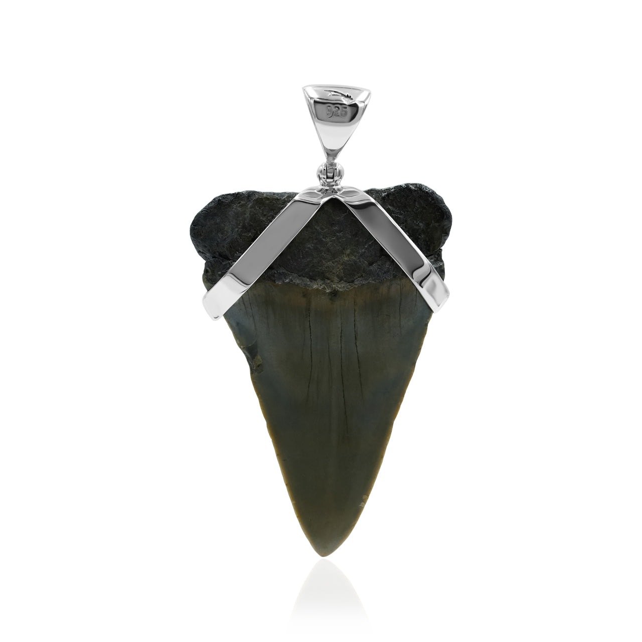 Starborn Dark Fossil Shark Tooth Sterling Silver Pendant